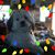 Michelle Avolio Genardi's profile image