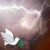 William J. Schrock's profile image