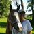 Penny Lou Lyons's profile image