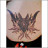 Absinthe's profile image