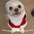 Michelle Torres Gilruth's profile image