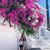 Amy Karamagianis Korolis's profile image