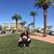 Victoria Basil's profile image