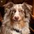 Bev Prim's profile image