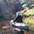 Donna Blanteno's profile image