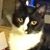Karen Knight's profile image