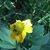 Cheryl Clements's profile image