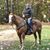 Tabby Coomer-Foster's profile image