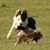 Claire Hamilton's profile image