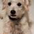 Lynda Skinner's profile image