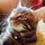 Melody Blackwell's profile image