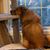 Loretta Urie's profile image