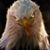 Jack Herring's profile image