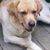 Karen Rasmussen's profile image