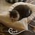 Connie Chartier's profile image