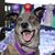 Valerie Gee Hagans's profile image