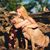 Jennifer Hadley Newcome's profile image