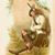 Daniel Gordon Fleener's profile image