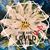 Bridget Kenney Kelman's profile image