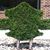 Randy Rinker's profile image