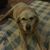 Heidi Hayes Yarnell's profile image