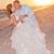 Amy Cook's profile image