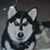 Kristy Horton's profile image