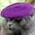 Michael Perrone's profile image