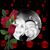 Robert Munoz's profile image