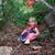 Suzy Bullett's profile image