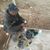 Chrisman Alto's profile image