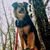 Gary Grenier's profile image