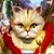 Vicki Sue's profile image