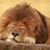 Scott Cowick's profile image