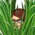 Meghann Ovre-Kriesel's profile image