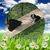 Amy Braffet's profile image