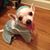 Stephanie Campbell's profile image