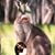 Francie Hinrichsen's profile image