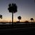 Elaine Lowder's profile image