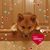 June A. Anzelc's profile image