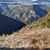 Larry Pennock's profile image