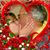 Mary Allard Strohl Jungmann's profile image