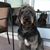 Susie Ghadban Webb's profile image