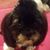 Pamela Testa's profile image