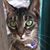 Laura Wilson's profile image