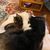 Virginia Hendricks's profile image
