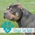 Rhonda Hasto's profile image