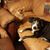 Jody Mitchell Gault's profile image