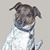 Watson L. Clark's profile image