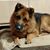 Lisa Alloway's profile image